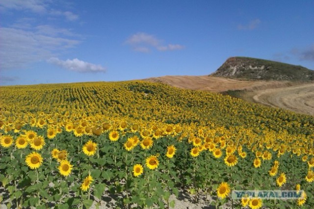 500 км. по Испании пешком