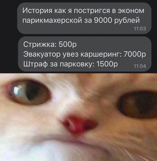 Немного мемчиков. Для взрослых. Часть 16