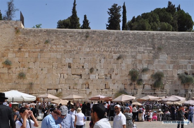 Как я ездил в Египет