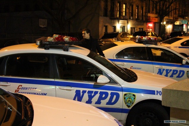 Моя первая поездка в Нью-Йорк и Маями