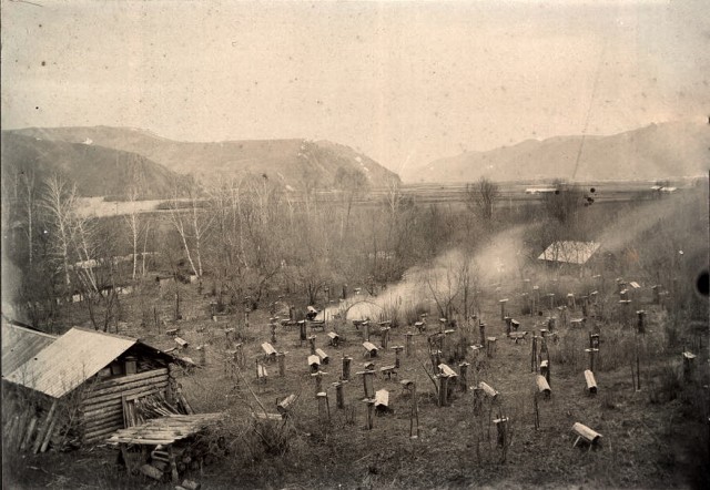 Сибирские казаки на службе и дома. Альбом 1911 года