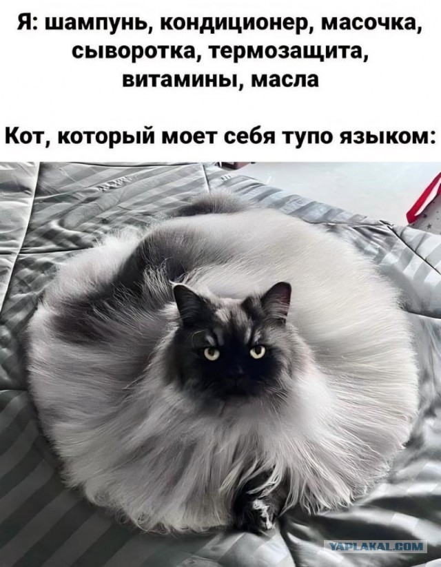 Пойман с поличным