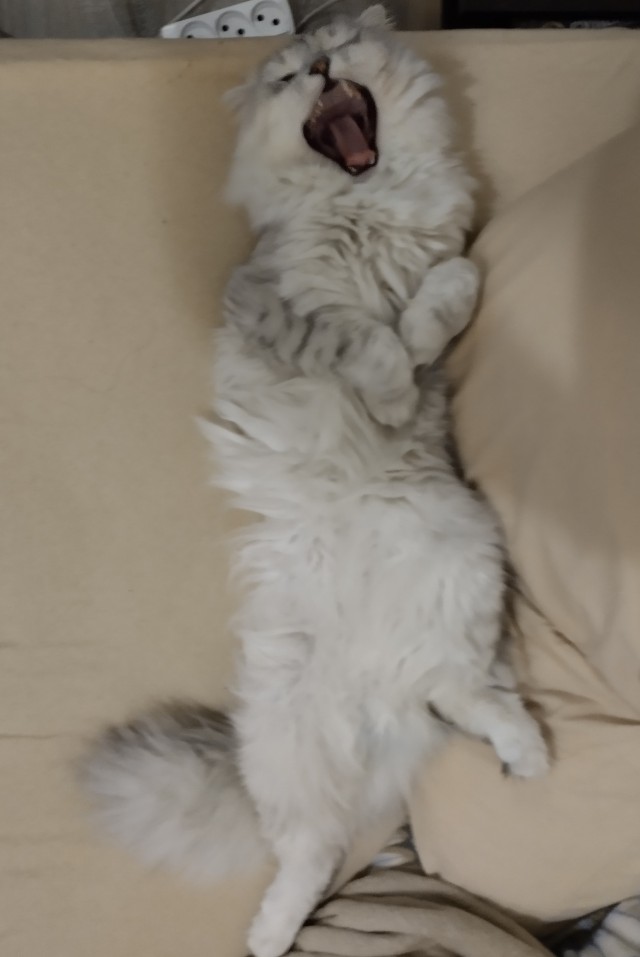 Защитник