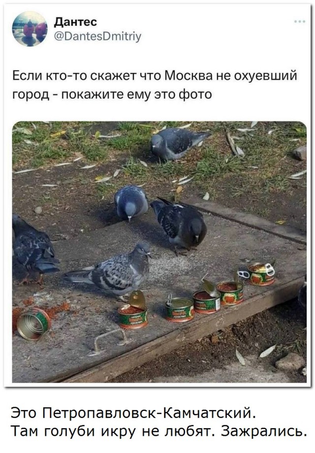 Забавные комментарии из социальных сетей (29.05.23)