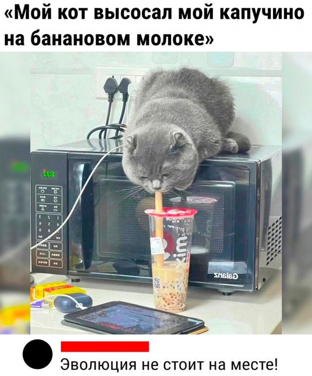 Так себе картинки 14.06.23