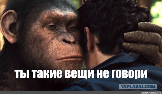 Отдых в Абхазии как особый вид самоистязания