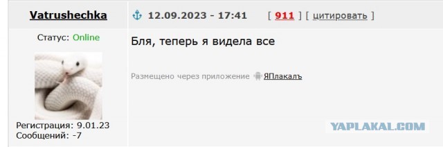 Когда вмазал шаурмы из привокзального ларька