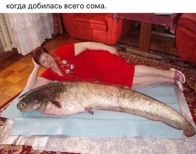 Не очень адекватный юмор