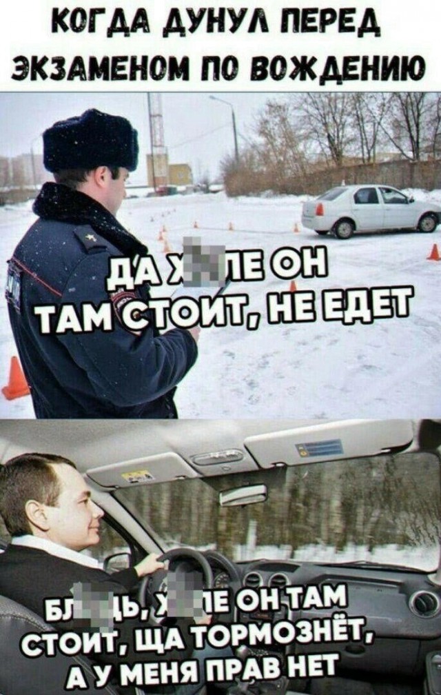 Весёлый полтишок 27.11.23