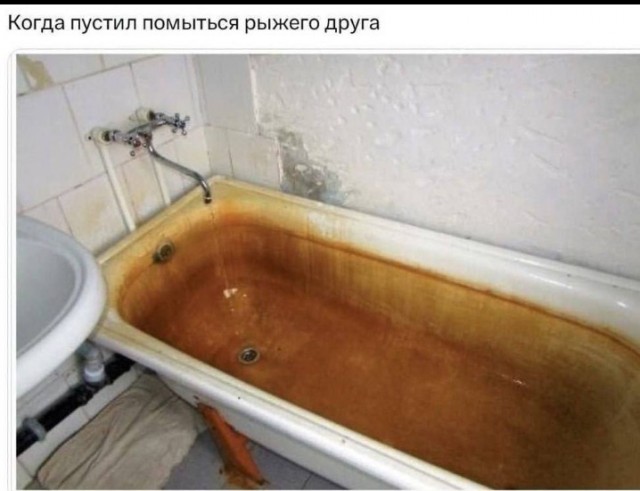 Всего понемногу. Оо 22.02.24