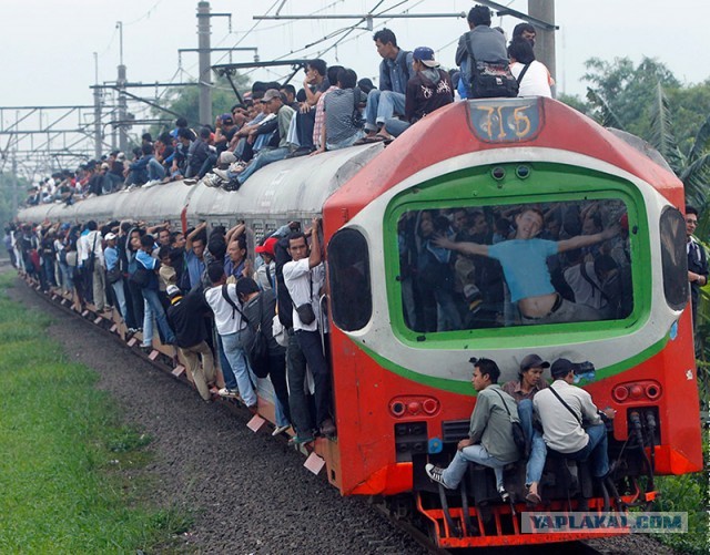 Фотожаба: Обработайте фото