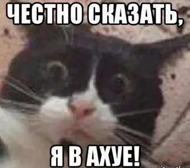 Кухня народов мира
