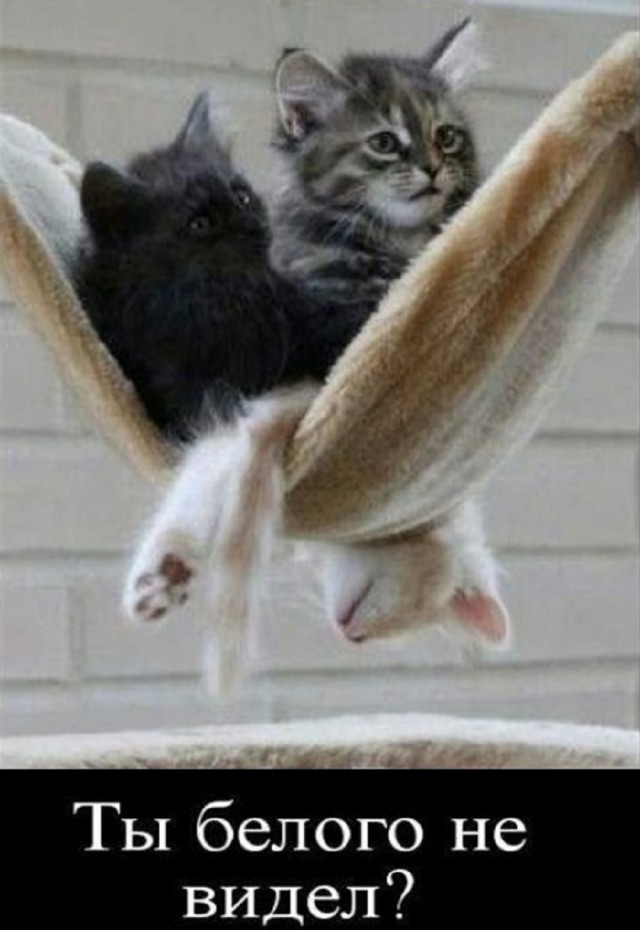 Так себе картинки 26.03.25