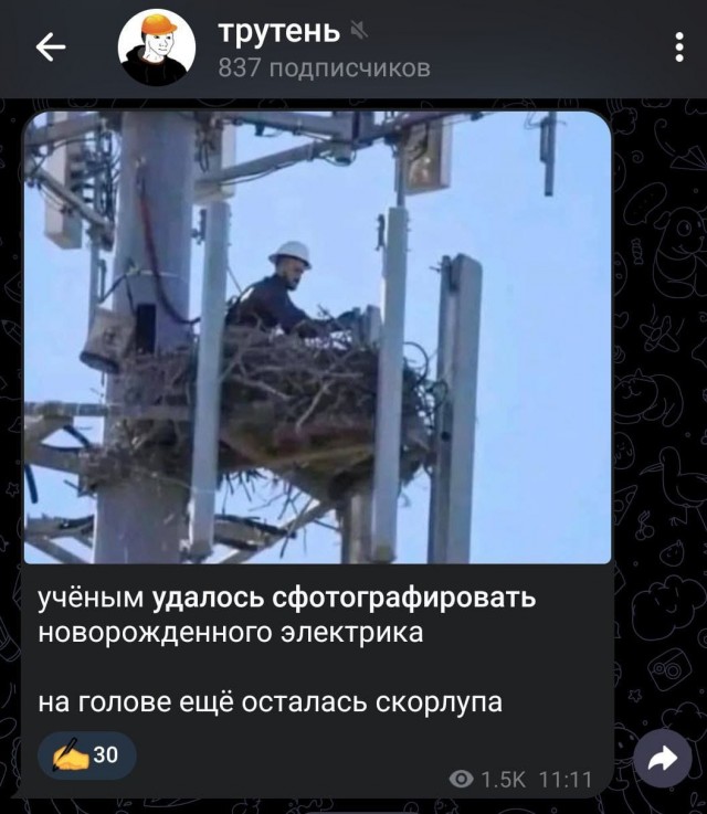 Завалялось тут случайно немного забавных картинок