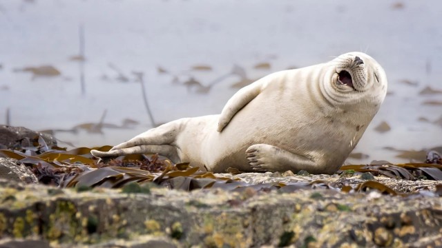 Заряд позитива: взгляните на 25 самых забавных снимков