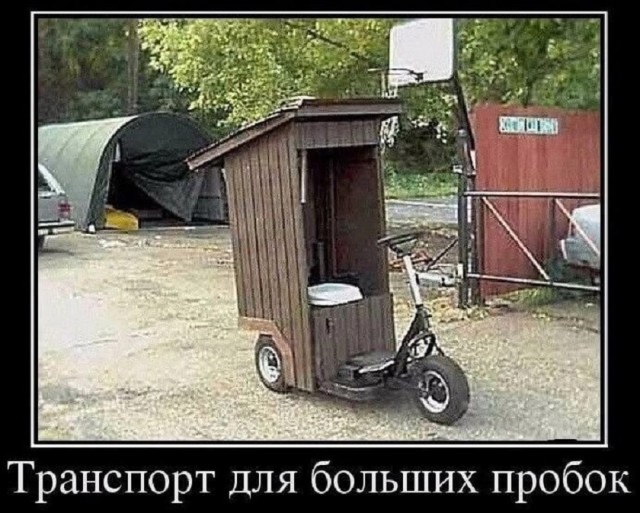 Так себе картинки 19.08.25