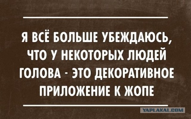 Это Австралия, детка!