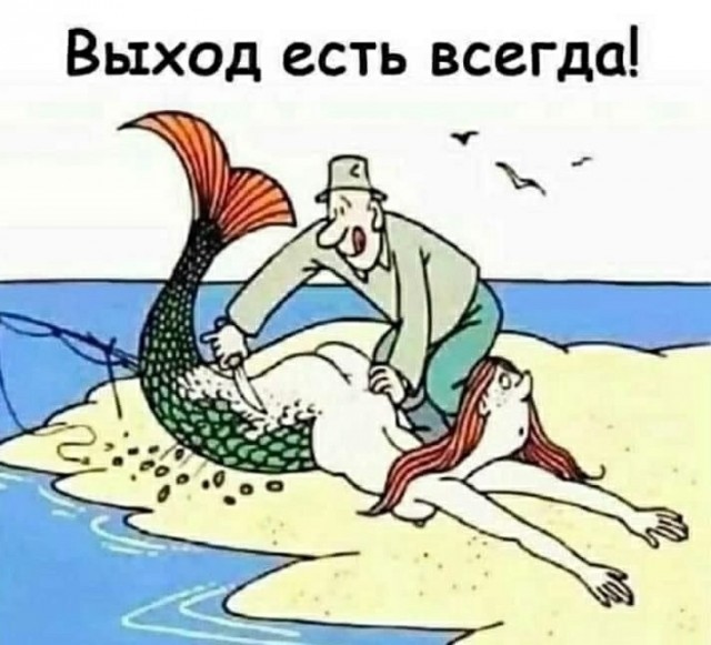 Веселое настроение в картинках (16.10.2025)
