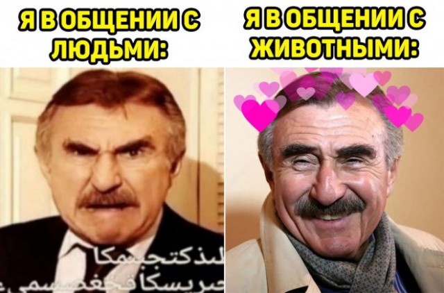 Веселые картинки в понедельник (27.10)