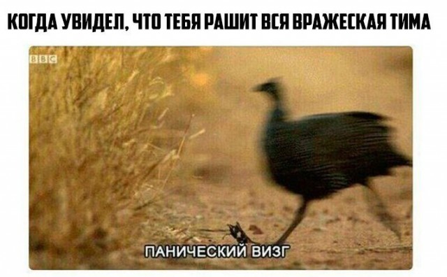 Wargaming 63