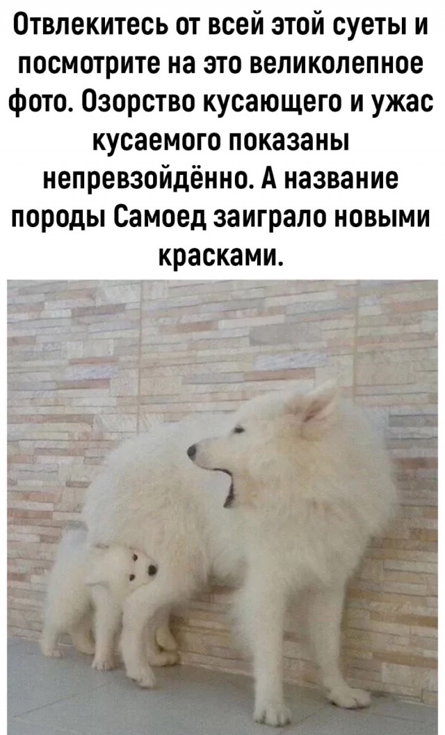 Среда пришла