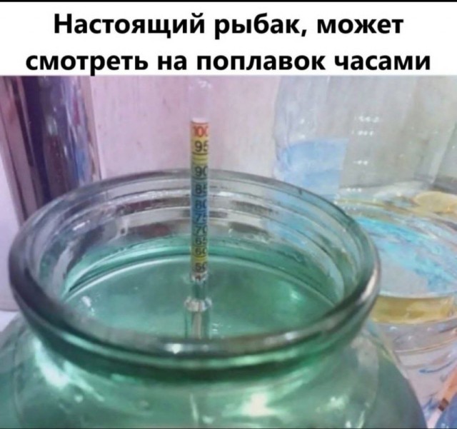Веселые картинки в пятницу (26.12)