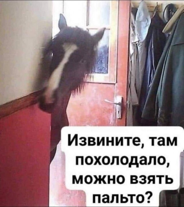 Всякой Хни вам в ленту, дорогие деграданты