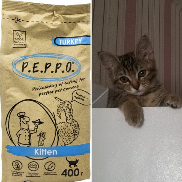 Кто чем кормит?