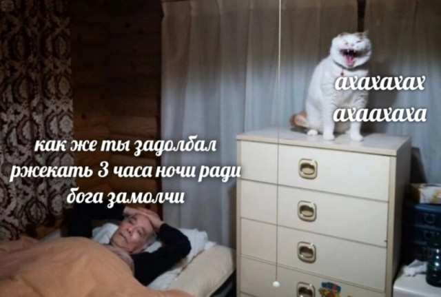 Картинки для деградации 148 (разной степени свежести)