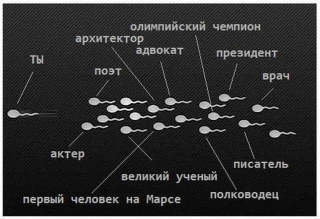 Веселые картинки в понедельник (06.04)