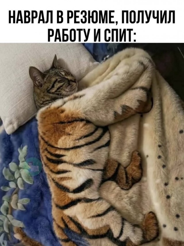 Картинки для деградации 202 (разной степени свежести)