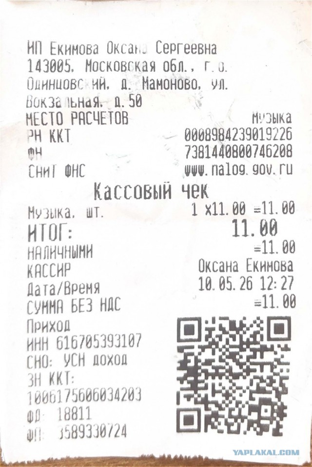 Самозанятая музыкантка