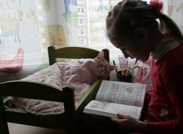Возлюби кота ближнего своего