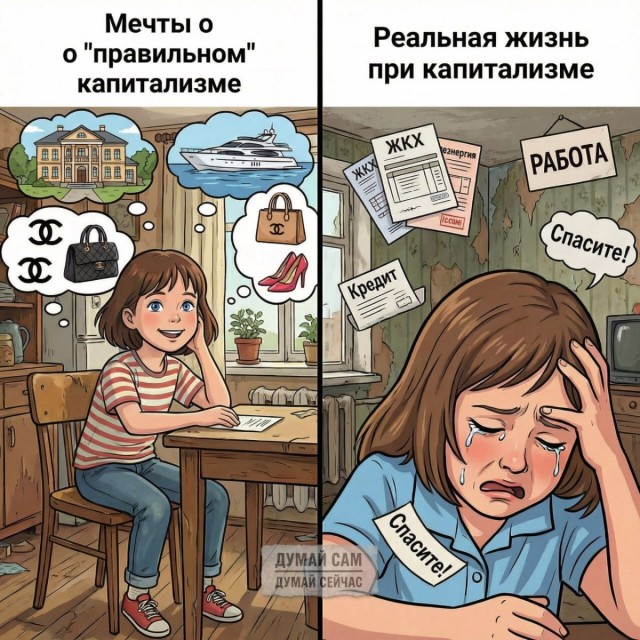 Тайгу начали вырубать на восточном берегу Байкала
