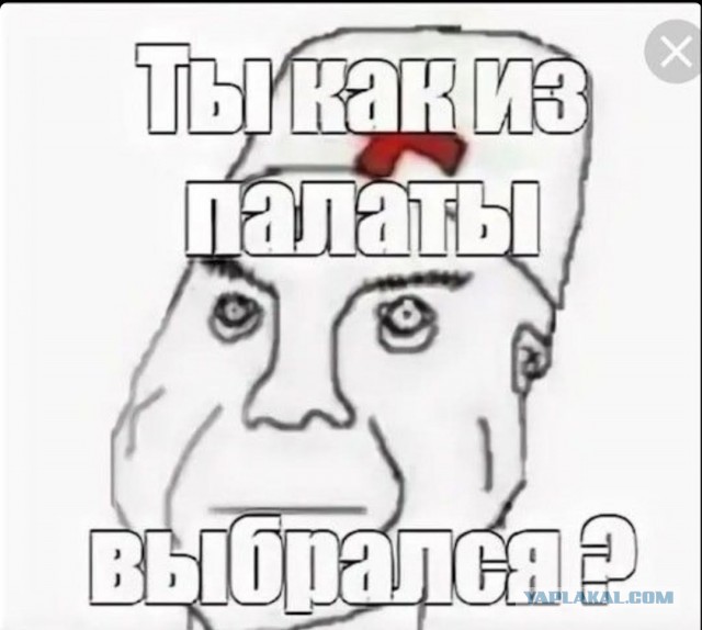 Как безумный «академик» 30 лет дурил чиновников, продавал чугун под видом НЛО и чуть не отравил элиту РФ
