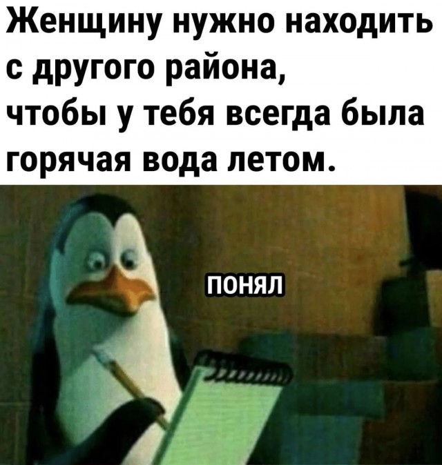 Картинки для деградации 248 (разной степени свежести)