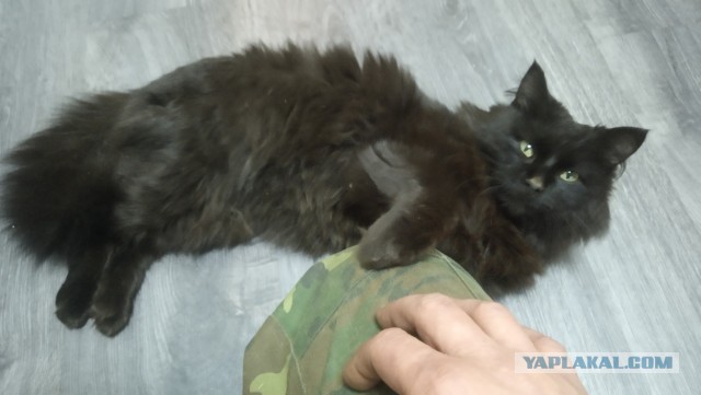 Чёрт