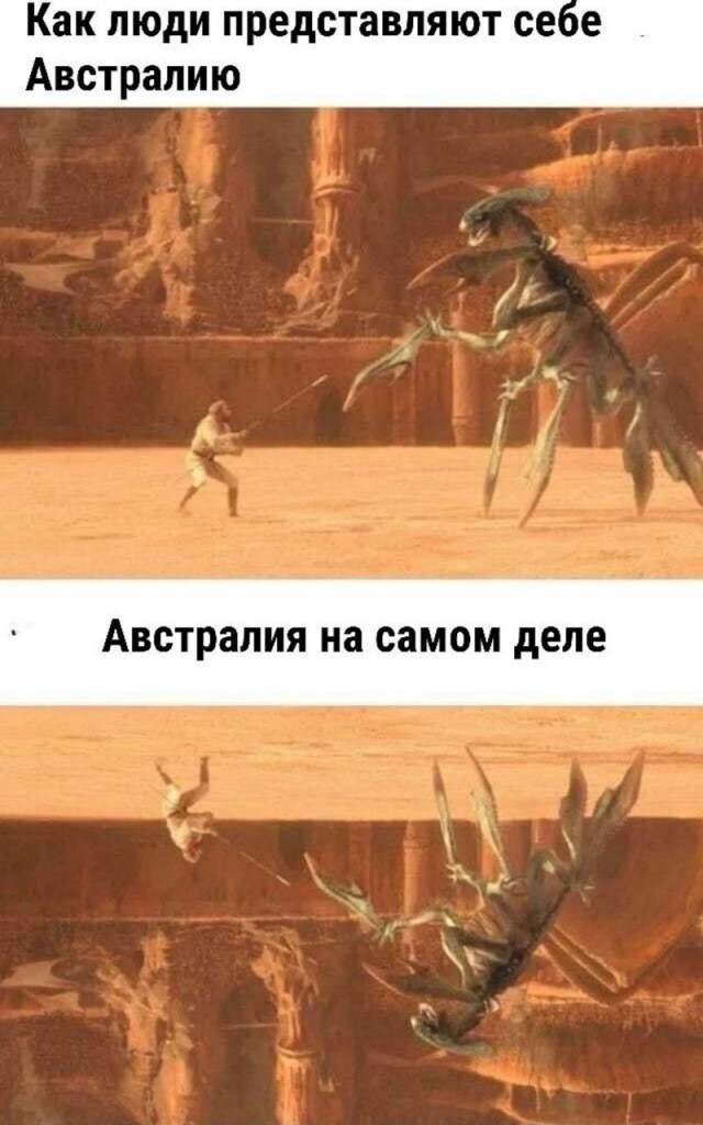 Картинки для деградации 255 (разной степени свежести)