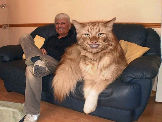 Долой анонимность, коллеги?
