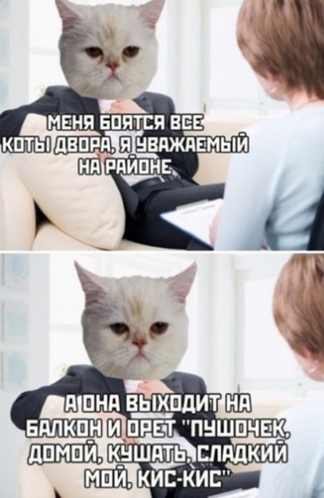 Картинки для деградации 302 (разной степени свежести)