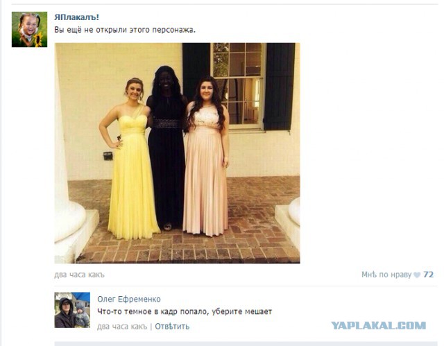 Прикольные картинки