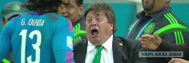 Чемпионат Мира 2014 Бразилия