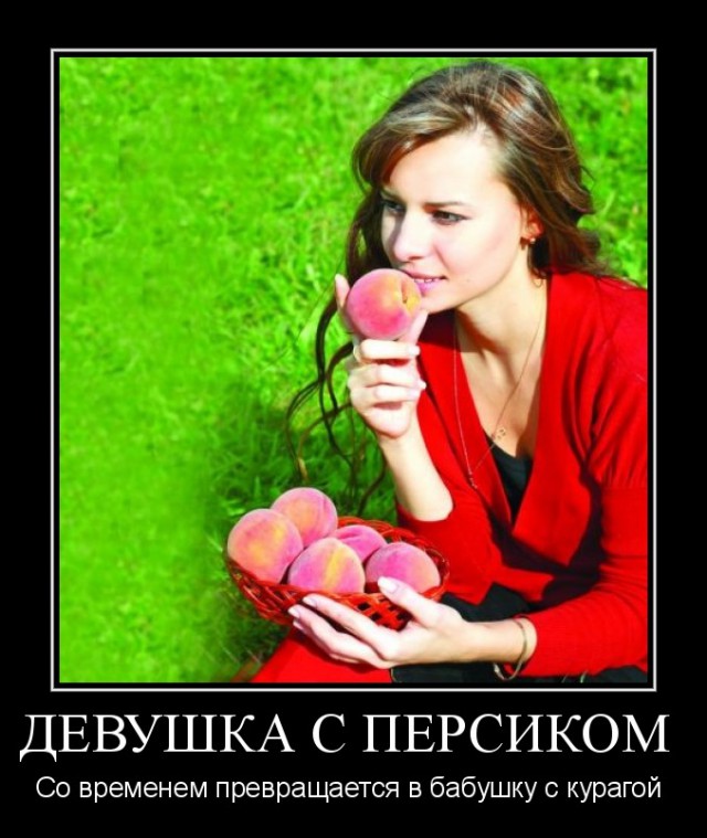 Уже не персик но еще не курага картинки