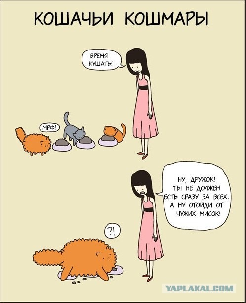 Кошачьи кошмары. Сказка