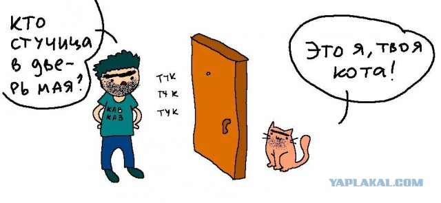 Тук-тук.