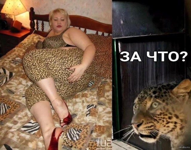 Главная ошибка женщин, которые хотят замуж