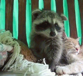 Ой, прости...