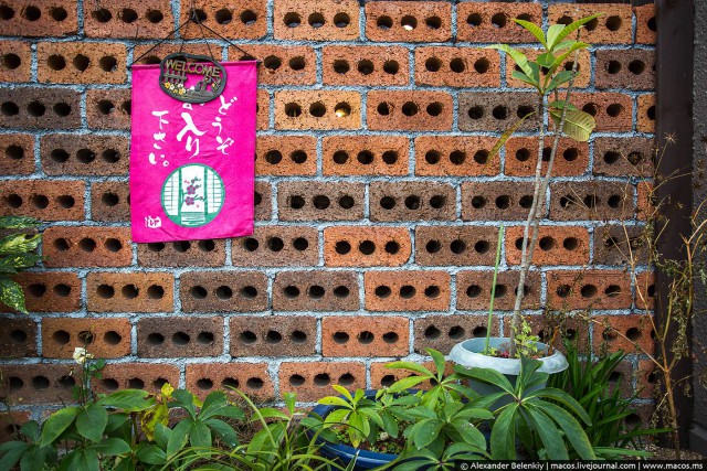 Как выглядит японская дыра