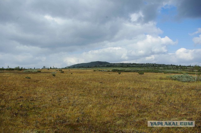 Прогулка.