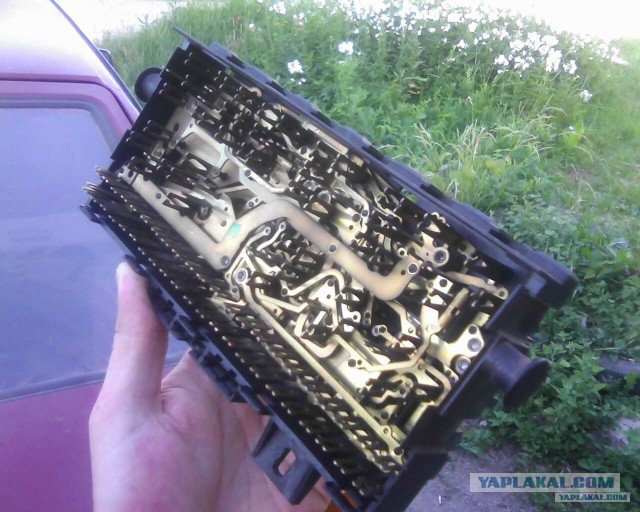 Мозги